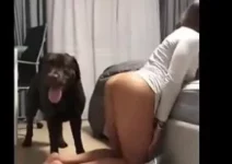 Cachorro comendo a dona da buceta gostosa