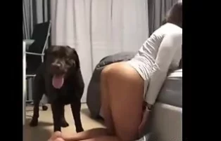 Cachorro comendo a dona da buceta gostosa